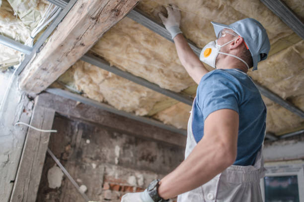 Best Insulation for Specific Applications in Genesee, ID